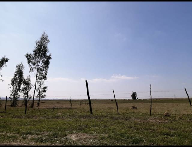 33HA FARM FOR SALE IN INGAGANE